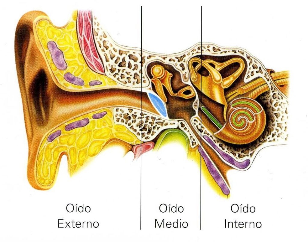 Síndrome vestibular